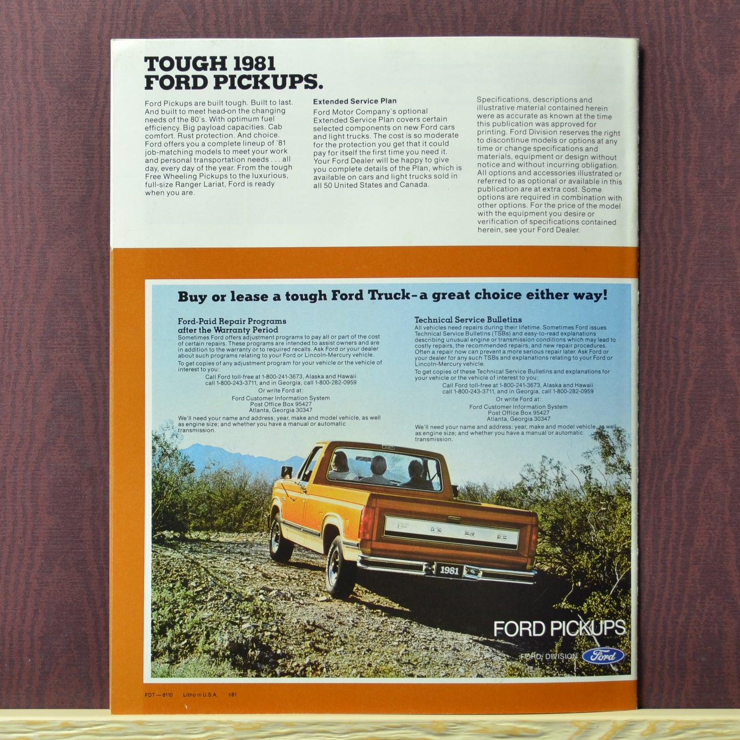 Tough 1981 Ford Pickups - Back Cover