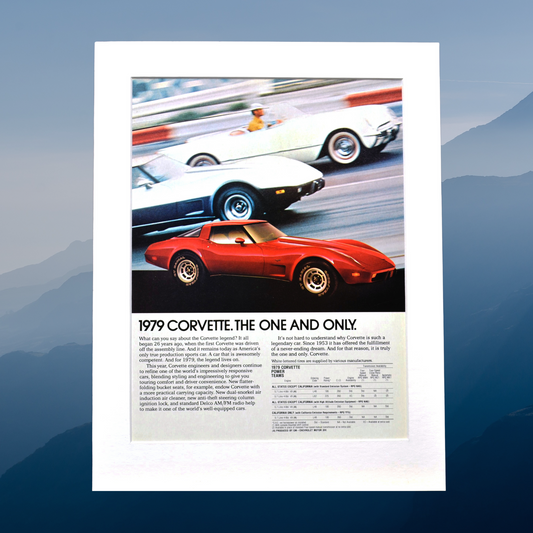 1979 Chevrolet corvette print ad
