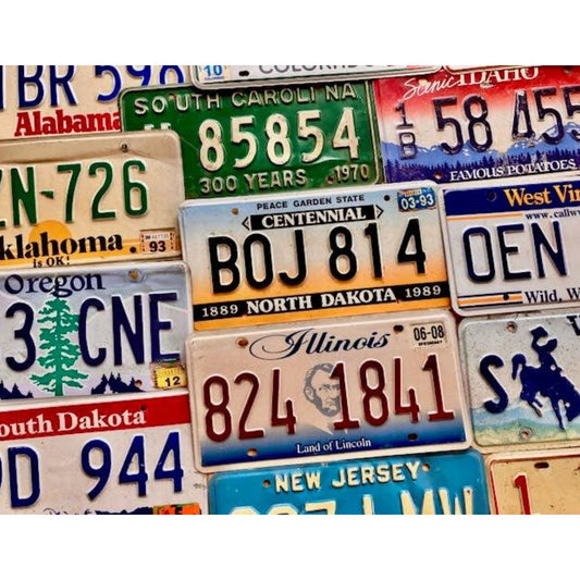 Embossed Authentic License Plates in Craft/Worn Condition - All States Available