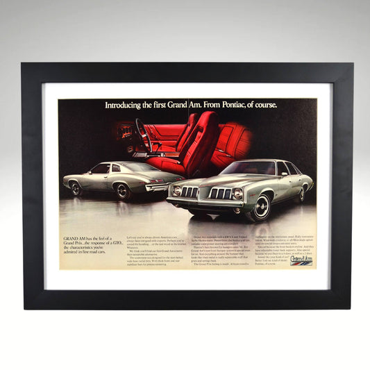 1973 Pontiac Grand Am framed print featuring classic luxury muscle styling, bold waterfall grille, red sport interior, and GM performance heritage.