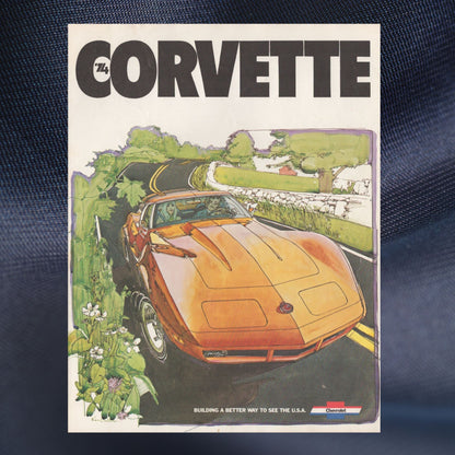 1974 Chevrolet Corvette dealer sales brochure original 8-page catalog cover with Ken Dallison artwork