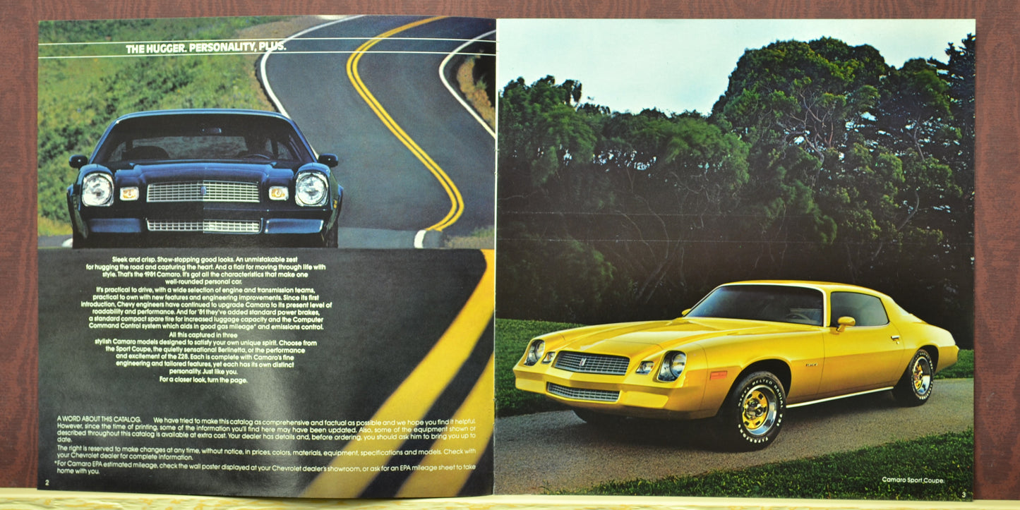 1981 camaro ad brochure,sport coupe