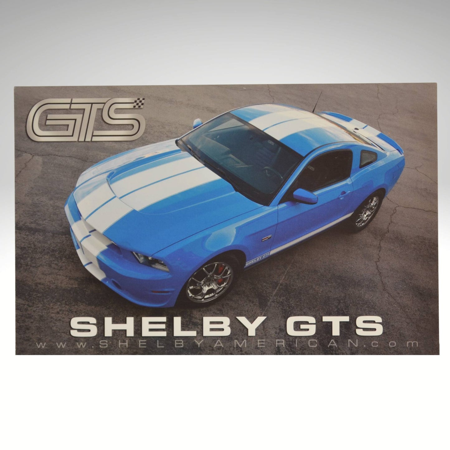 2013-2014-shelby-gts-mustang-promo-card-front