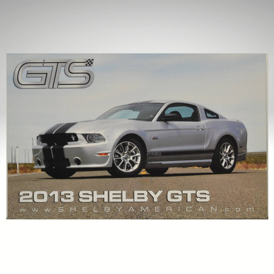 2013 Shelby GTS car on a road with 'GTS' branding