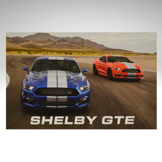 2015-2017-shelby-gte-mustang-promo-card-front