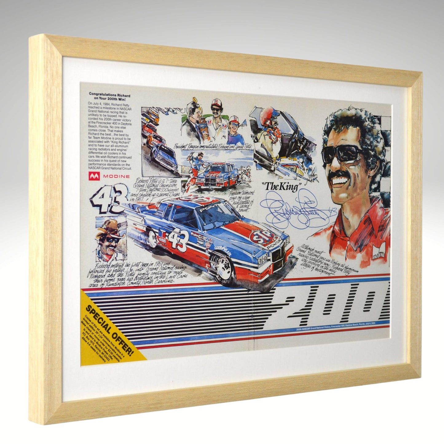 Framed Richard Petty collage featuring a racing car and a signature, with a light wood frame.