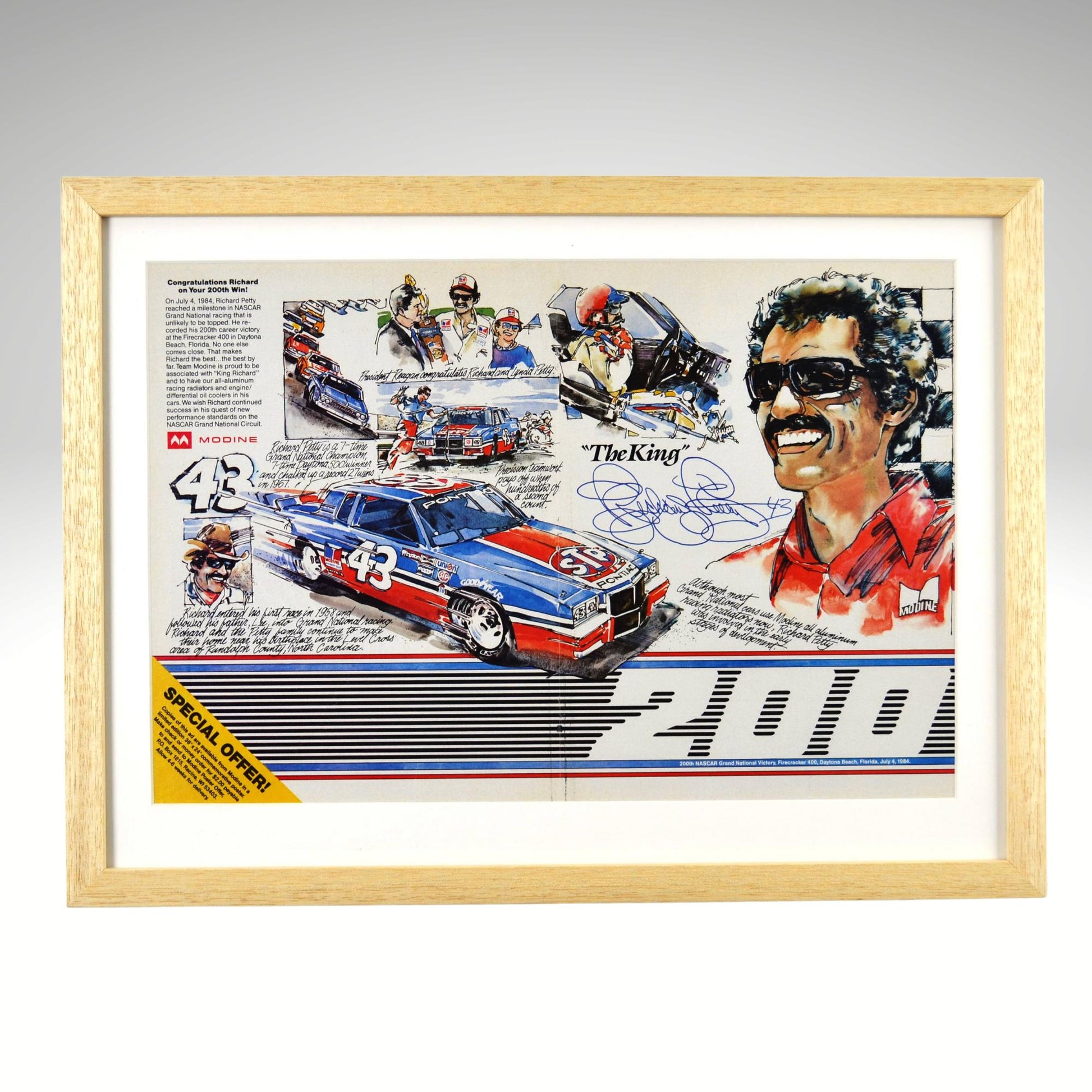 Framed Richard Petty poster with a race car and driver's image, featuring the number 43 and 'The King' text.