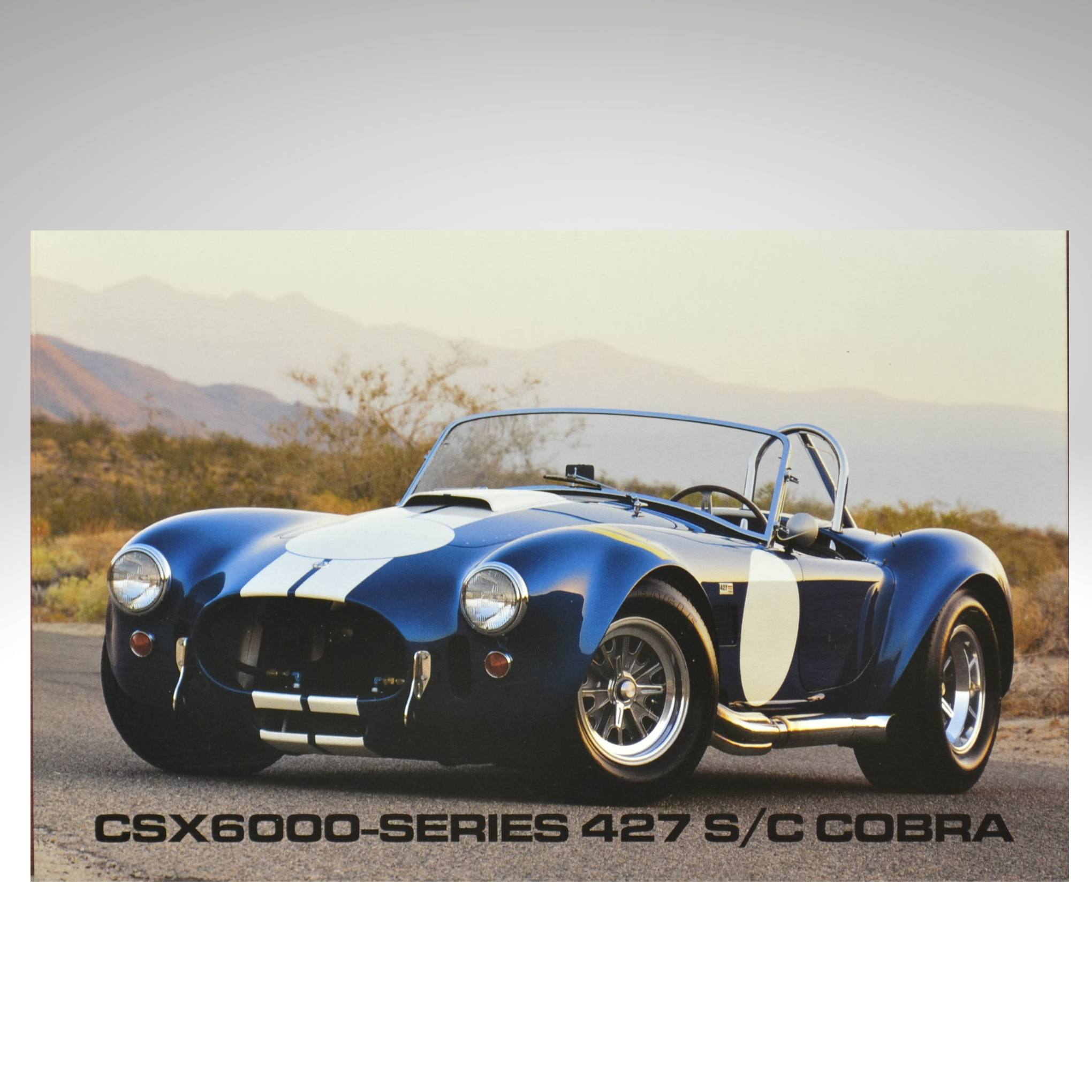 Shelby Cobra 427 S/C CSX6000 Factory Spec Card – Vintage Art Garage