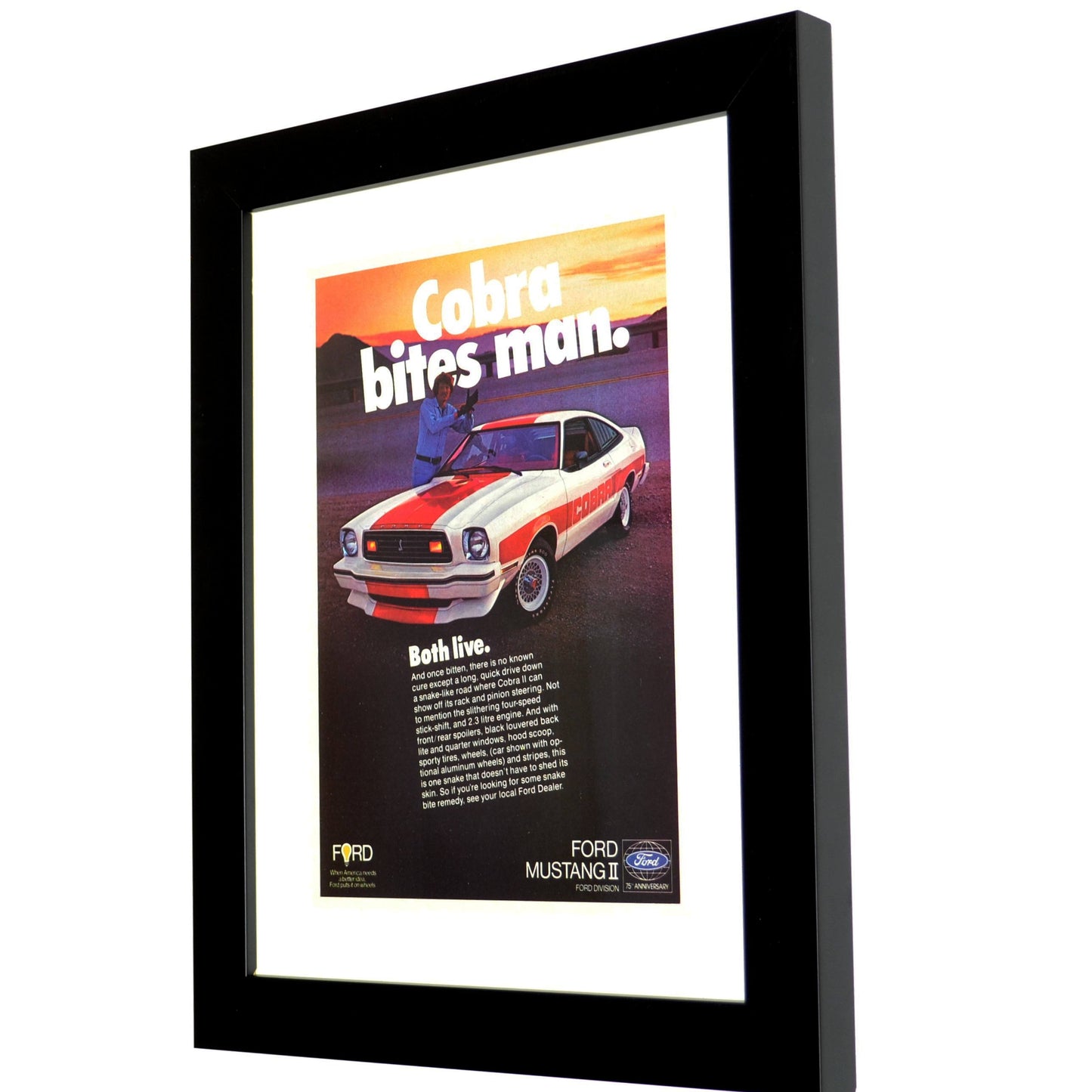 1978 Ford Mustang II Cobra Ad, side view, framed