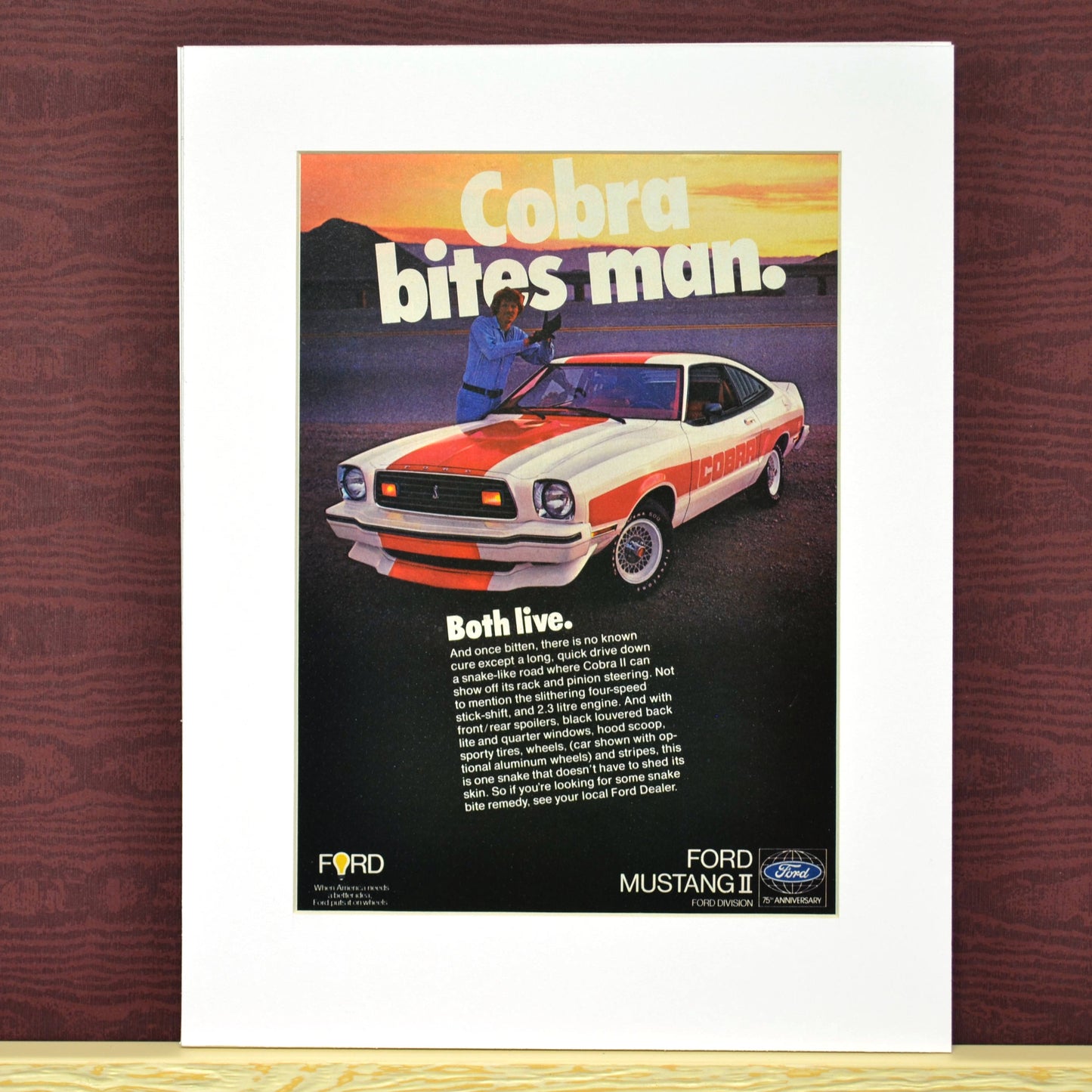 The Rare Snake Bite: Framed 1978 Mustang II Cobra Print